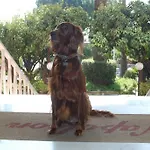 Napoleon 3* San Remo